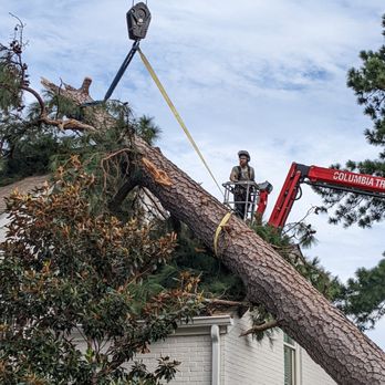 Wysong Tree Service - Tree Services Near Me - Chattanooga, Tennessee Wysong Tree Service - Tree Services Near Me - Chattanooga, Tennessee