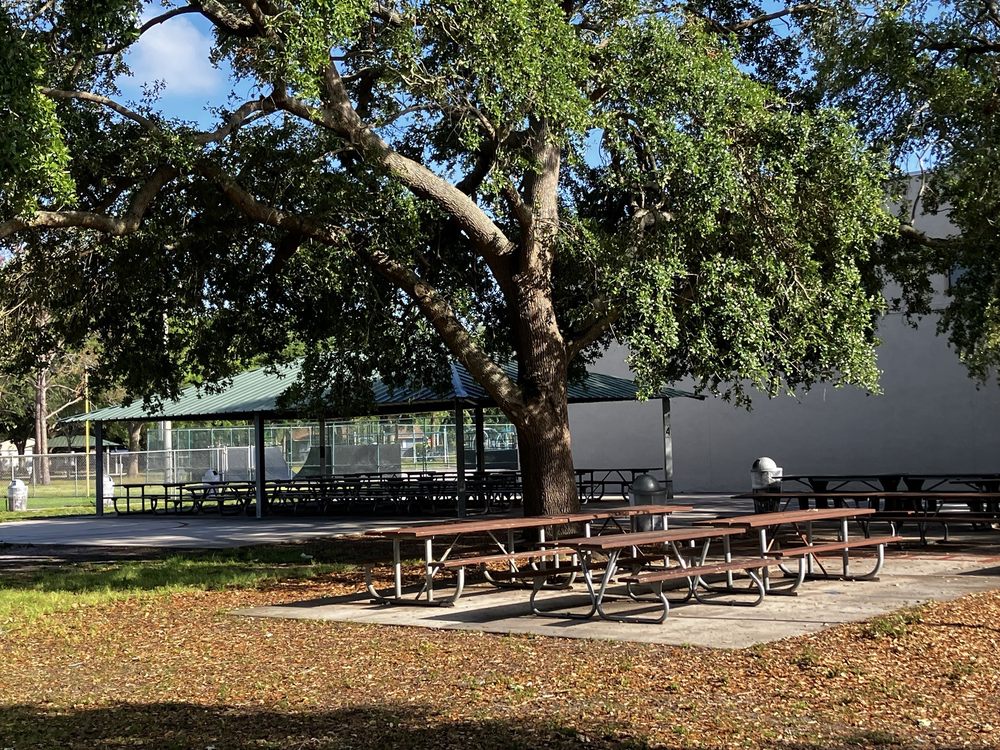 Fossil Park Image