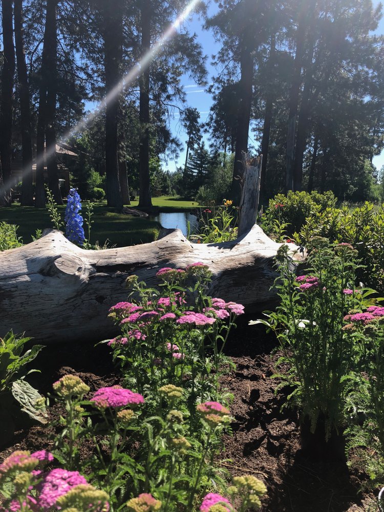 Slide of Blooming Desert Design + Build