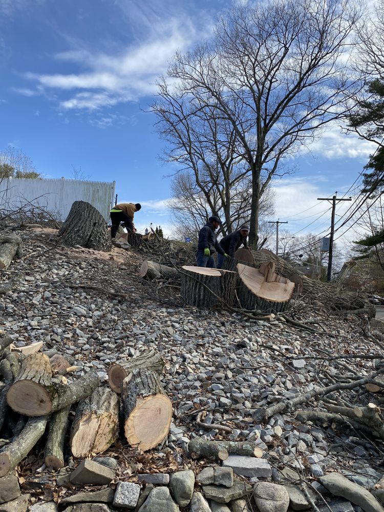 RM AFFORDABLE LANDSCAPING 50 Photos & 10 Reviews Waltham, MA Yelp