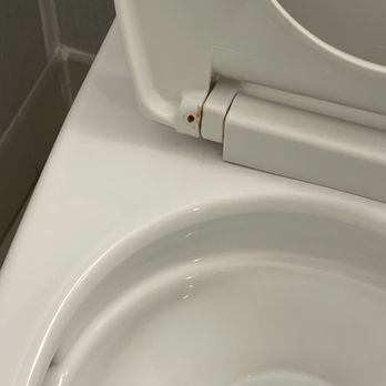Hotel del Coronado, Curio Collection by Hilton - Vomit or diarrhea not cleaned from toilet. - Coronado, CA
