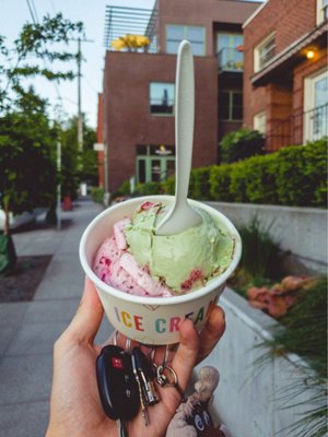 Molly Moon's Homemade Ice Cream Columbia City by null