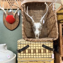 Skull and baskets