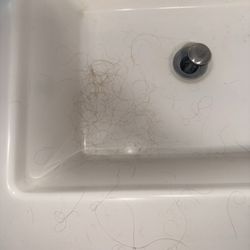 Bayshore Salon Co