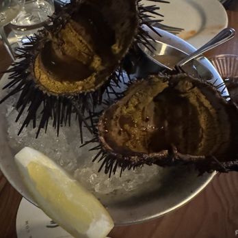 Sirene - Red uni $40 - Seafood Near Me - Oakland, California Sirene - Red uni $40 - Seafood Near Me - Oakland, California