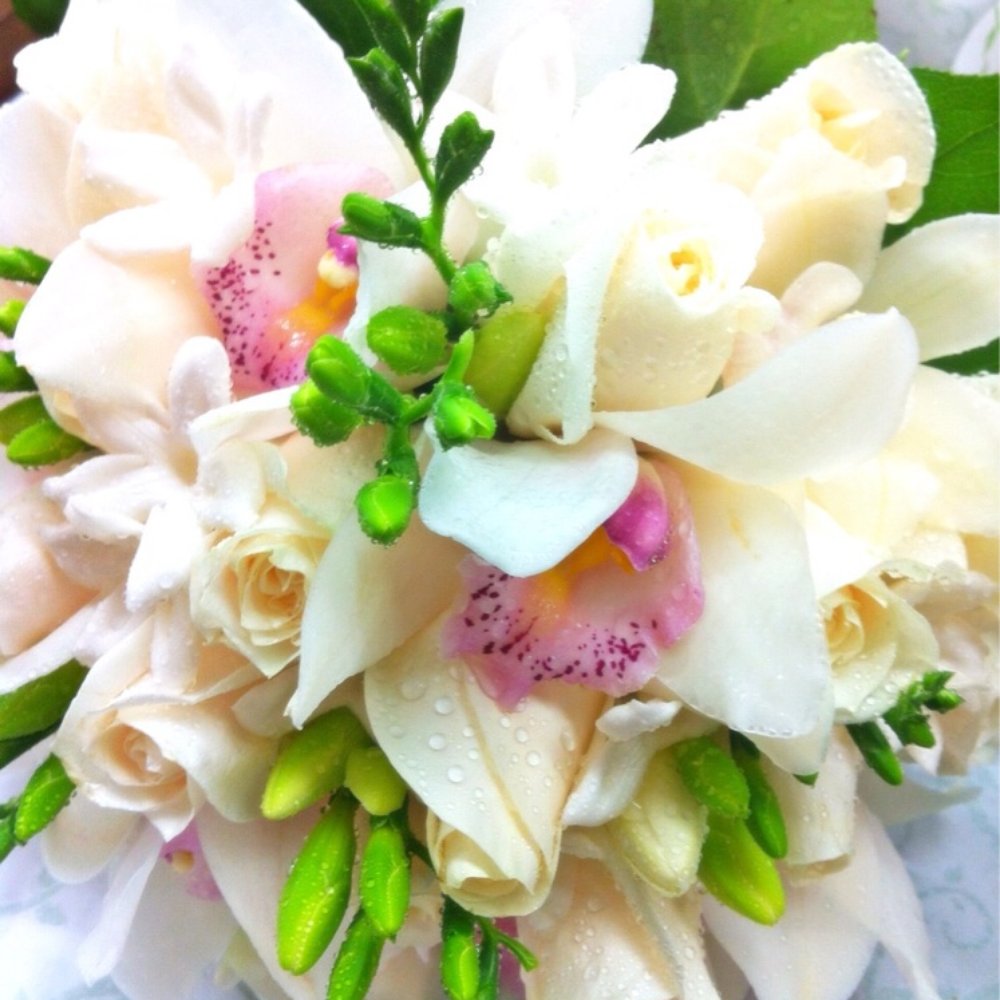 Bloor Village Flowers - Florists Near Me - Toronto, Ontario Bloor Village Flowers - Florists Near Me - Toronto, Ontario