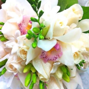 Bloor Village Flowers - Florists Near Me - Toronto, Ontario Bloor Village Flowers - Florists Near Me - Toronto, Ontario