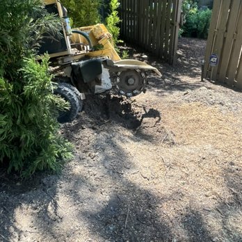 Lumberjack Tree Service - Tree Services Near Me