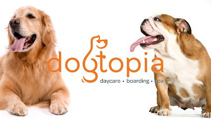Dogtopia of Garden Home - pet boarding facility in Portland, OR