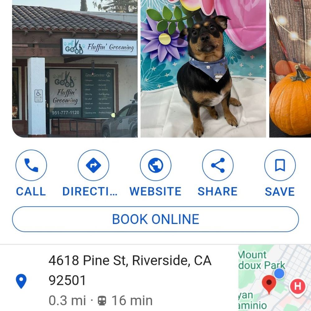 Their address Their address