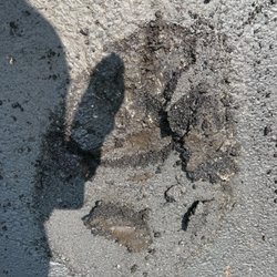 Stutz Driveway Sealing and Repair