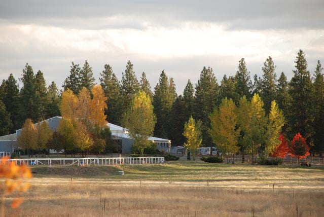 Medicine Horse Stables - equestrian in Spokane, WA