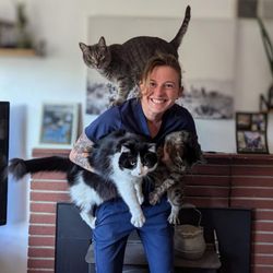 Countryside Veterinary Hospital - CS Tech and her babies