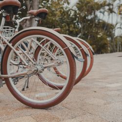 Sanibel Inn - Bikes