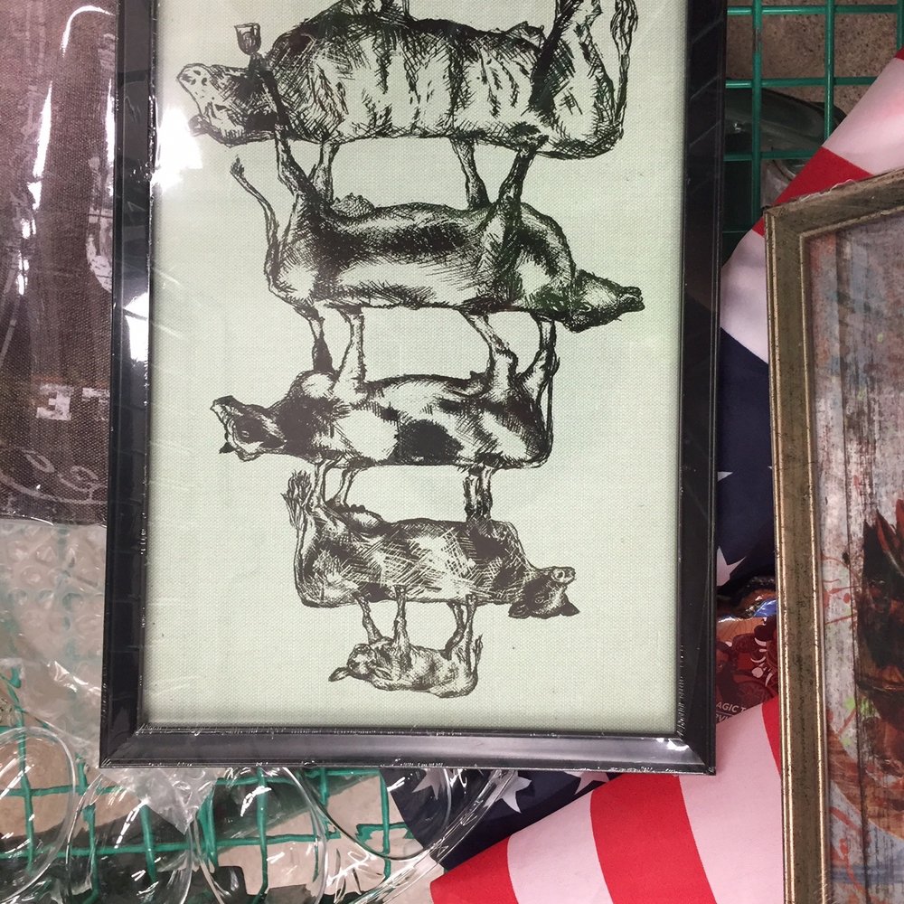 Dollar Tree - Discount Store Near Me - Des Moines, Washington Dollar Tree - Discount Store Near Me - Des Moines, Washington