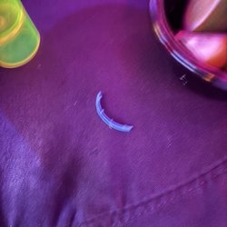 Mandala - Plastic that I choked on