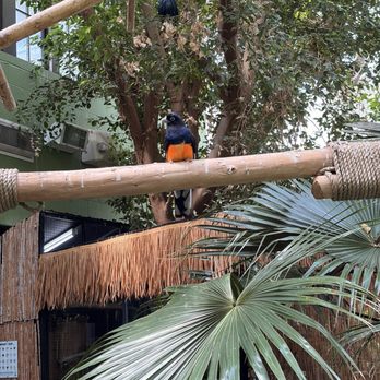 Miller Park Zoo - Zoos Near Me - Bloomington, Illinois Miller Park Zoo - Zoos Near Me - Bloomington, Illinois
