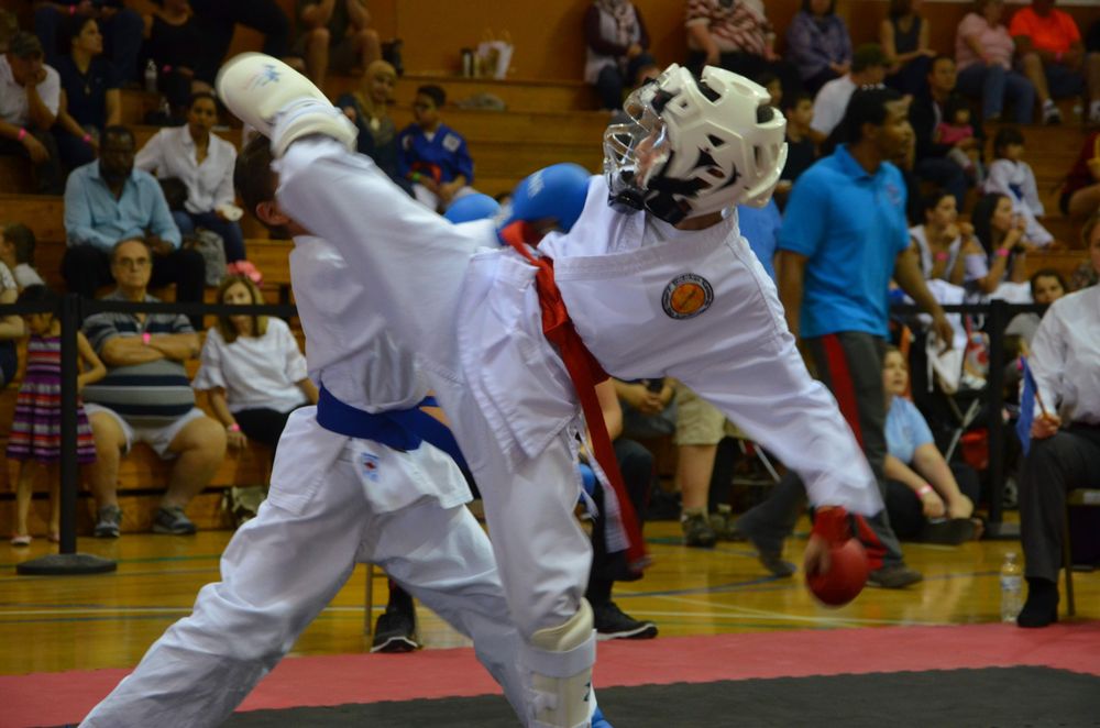 Keiko Shin Karate Academy Logo