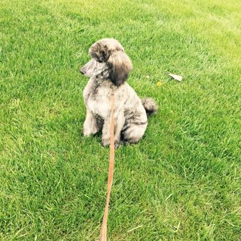 Petco - Pet Stores Near Me - Ann Arbor, Michigan