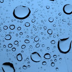 Rainforest Carwash & Oil Change - Rainforest Carwash & Oil Change Hardy