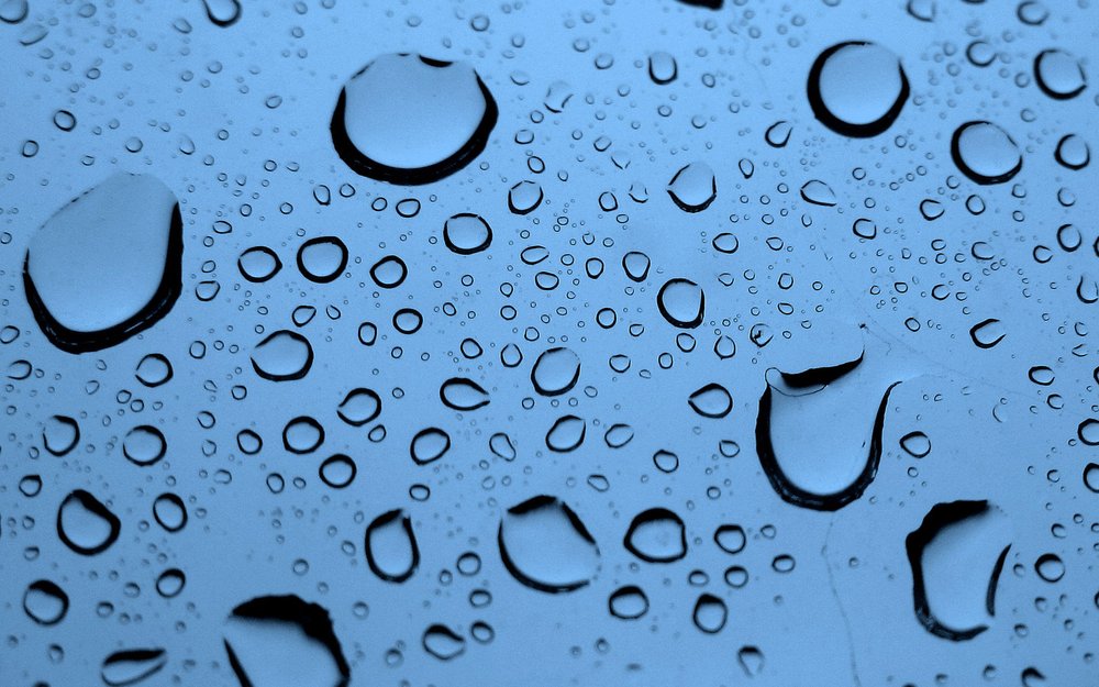 Rainforest Carwash & Oil Change, Hattiesburg Roadtrippers