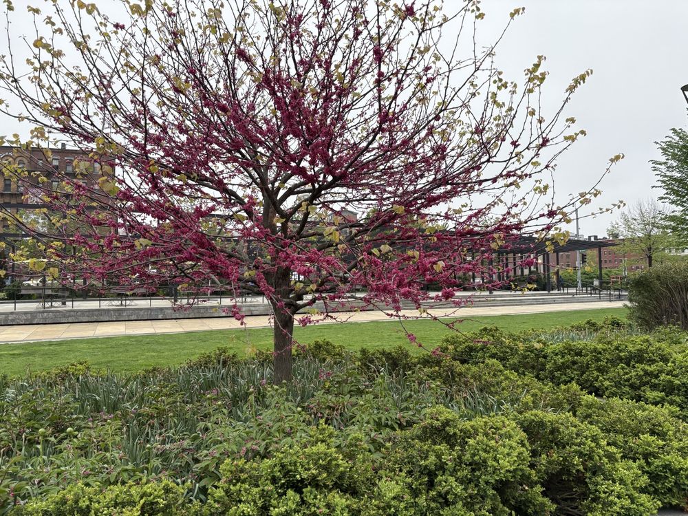 Rose Fitzgerald Kennedy Greenway Conservancy