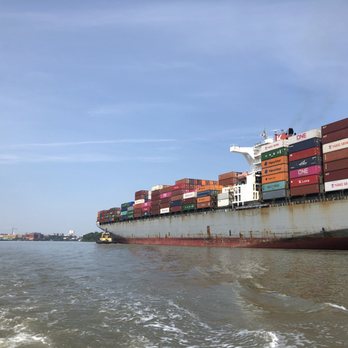 Dolphin Magic Tours - Tours Near Me - Savannah, Georgia