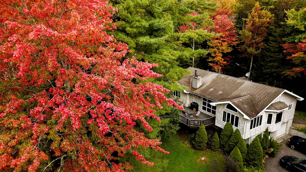 POST APOCALYPTIC Updated October 2024 23 Photos Hamden, New York