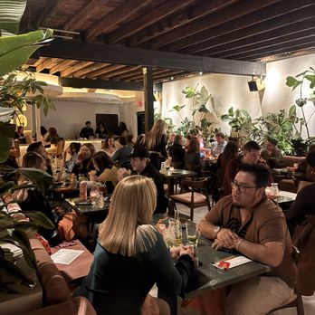 Aaktun Coffee & Bar - So many happy people enjoying the ambiance, food and drink - Coffee & Tea Near Me - Durham, North Carolina Aaktun Coffee & Bar - So many happy people enjoying the ambiance, food and drink - Coffee & Tea Near Me - Durham, North Carolina