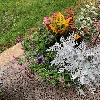 Garden Sales - First Arrangement - Nurseries & Gardening Near Me - Manchester, Connecticut Garden Sales - First Arrangement - Nurseries & Gardening Near Me - Manchester, Connecticut