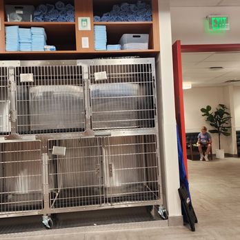 Veterinary Emergency Group - Interior - Emergency Pet Hospital Near Me - Santa Monica, California Veterinary Emergency Group - Interior - Emergency Pet Hospital Near Me - Santa Monica, California