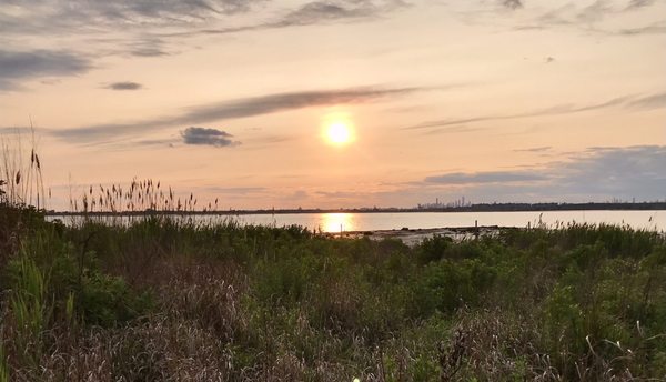 Jamaica Bay Wildlife Refuge by null