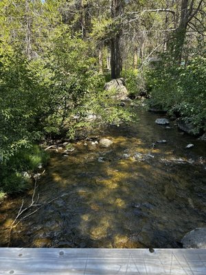 Donner Memorial State Park by null