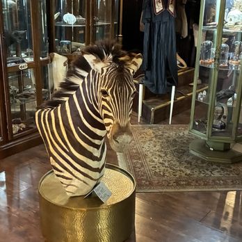 Dysfunctional Grace - zebra! i wanted to pet it to bad - Art Galleries Near Me - Tampa, Florida Dysfunctional Grace - zebra! i wanted to pet it to bad - Art Galleries Near Me - Tampa, Florida