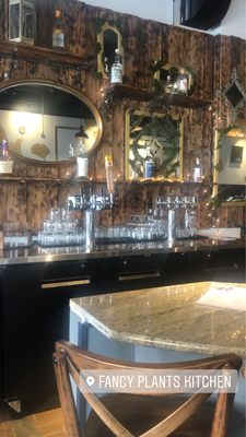 Fancy Plants Kitchen by null