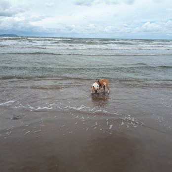 Sibirienstranden - tasting the water - Beaches Near Me - Ängelholm, M