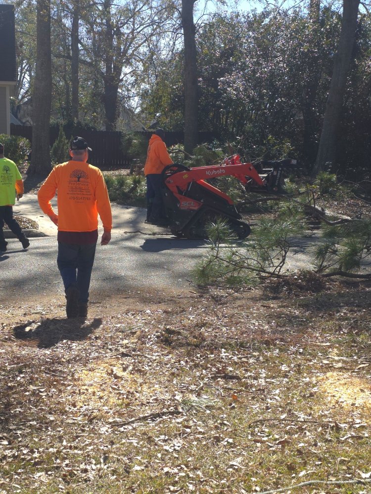 Slide of Pro Service Tree Service