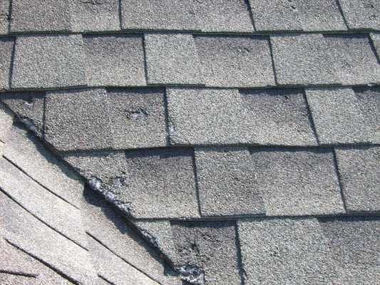 The M Warner Company Logo