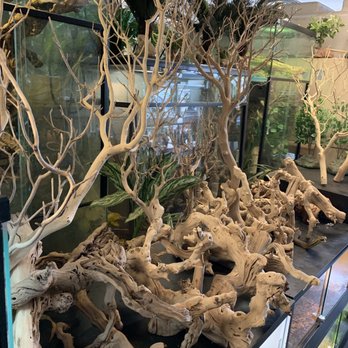 JTK Reptiles - Tank Decorations - Reptile Shops Near Me - Long Beach, California