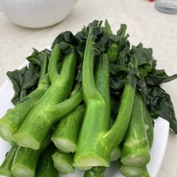Koi Palace - Chinese Broccoli w/ Oyster sauce - Dim Sum Near Me - Milpitas, California Koi Palace - Chinese Broccoli w/ Oyster sauce - Dim Sum Near Me - Milpitas, California