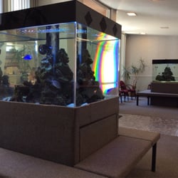 Corey H Marco, MD - Peaceful fishtanks in waiting room