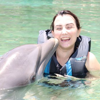 Dolphin Quest - Tours Near Me - Waikoloa, Hawaii