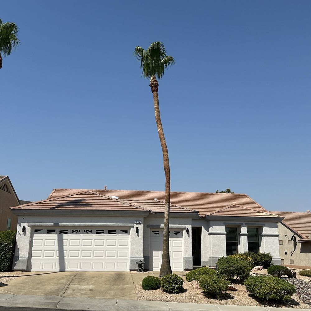 Affordable Tree Service - Done with the removal of one palm tree and completed trimming of two palms. - Tree Services Near Me - Las Vegas, Nevada Affordable Tree Service - Done with the removal of one palm tree and completed trimming of two palms. - Tree Services Near Me - Las Vegas, Nevada