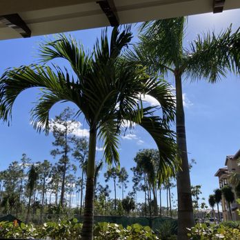 Oak & Stone - Our view for lunch. - Breakfast & Brunch Near Me - Estero, Florida
