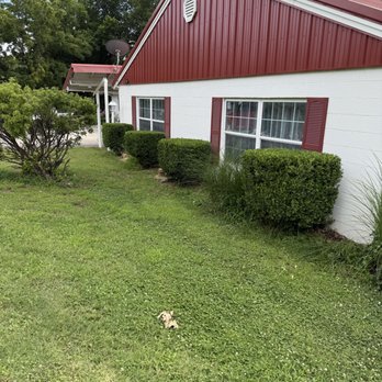 A1 Mowing and Landscaping - Trimmed hedges - Lawn Services Near Me - Coffeyville, Kansas A1 Mowing and Landscaping - Trimmed hedges - Lawn Services Near Me - Coffeyville, Kansas