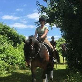 Arrowhead Farm - Horseback Riding Near Me - West Tisbury, Massachusetts