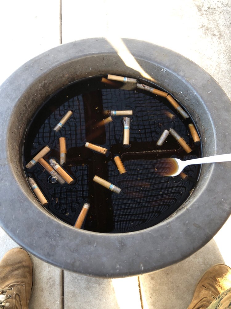 43 AREA CHOWHALL Updated October 2024 12 Reviews 43402 C St, Camp