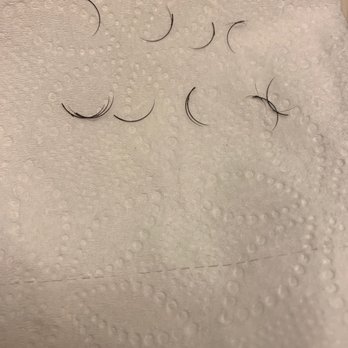 Lash Vegas LV - Had a full set of volume done 12 days ago, they started coming off after 2 days and I started collecting them 2 days ago... - Eyelash Service Near Me - North Las Vegas, Nevada Lash Vegas LV - Had a full set of volume done 12 days ago, they started coming off after 2 days and I started collecting them 2 days ago... - Eyelash Service Near Me - North Las Vegas, Nevada