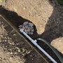 Fifita Construction