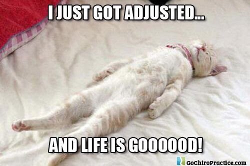 Newport Wellness Center Logo